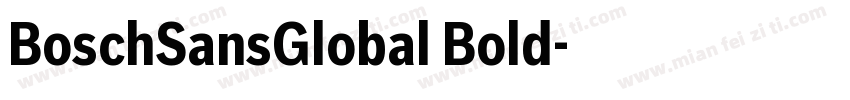 BoschSansGlobal Bold字体转换